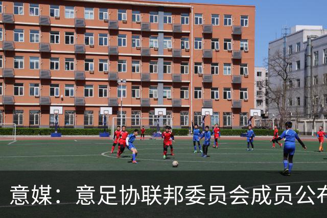 意媒：意足协联邦委员会成员公布，马洛塔和基耶利尼等人全员留任